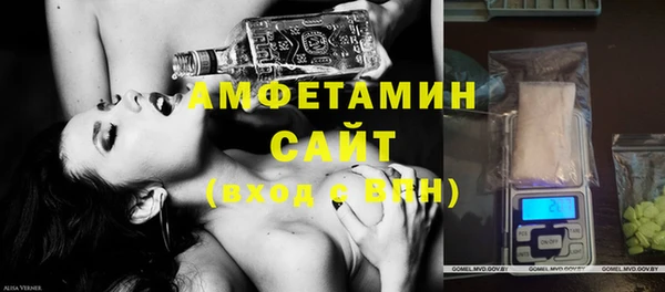 прущие грибы Аркадак
