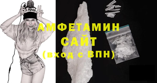 прущие грибы Аркадак