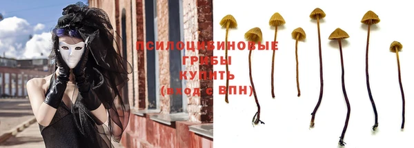 PSILOCYBIN Армянск