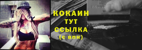 индика Арсеньев