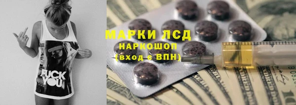 PSILOCYBIN Армянск