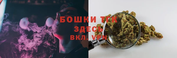 индика Арсеньев
