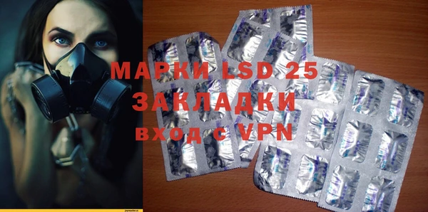 прущие грибы Аркадак
