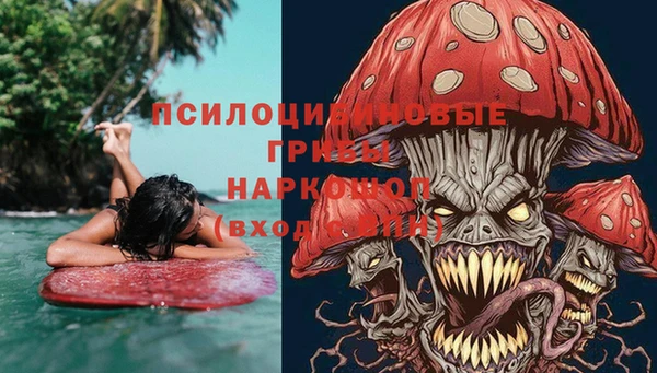 прущие грибы Аркадак