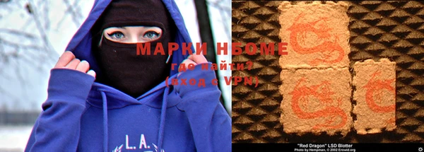 индика Арсеньев
