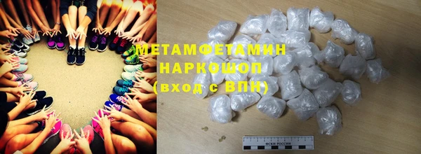 прущие грибы Аркадак