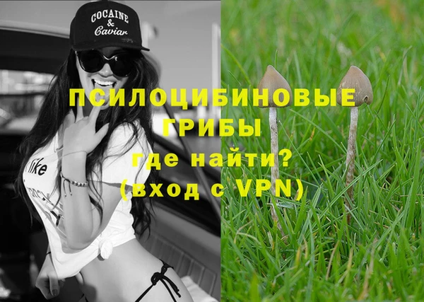 прущие грибы Аркадак