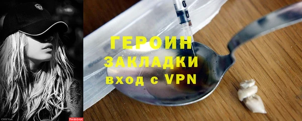 индика Арсеньев