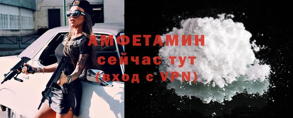 прущие грибы Аркадак