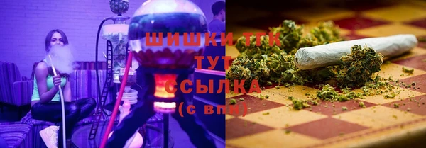 индика Арсеньев