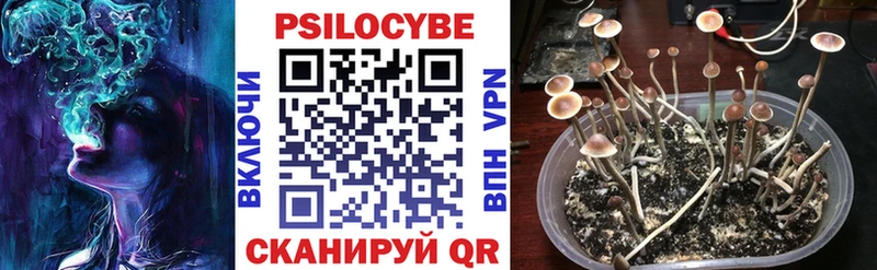 Купить где  Новомичуринск  Галлюциногенные грибы MAGIC MUSHROOMS 